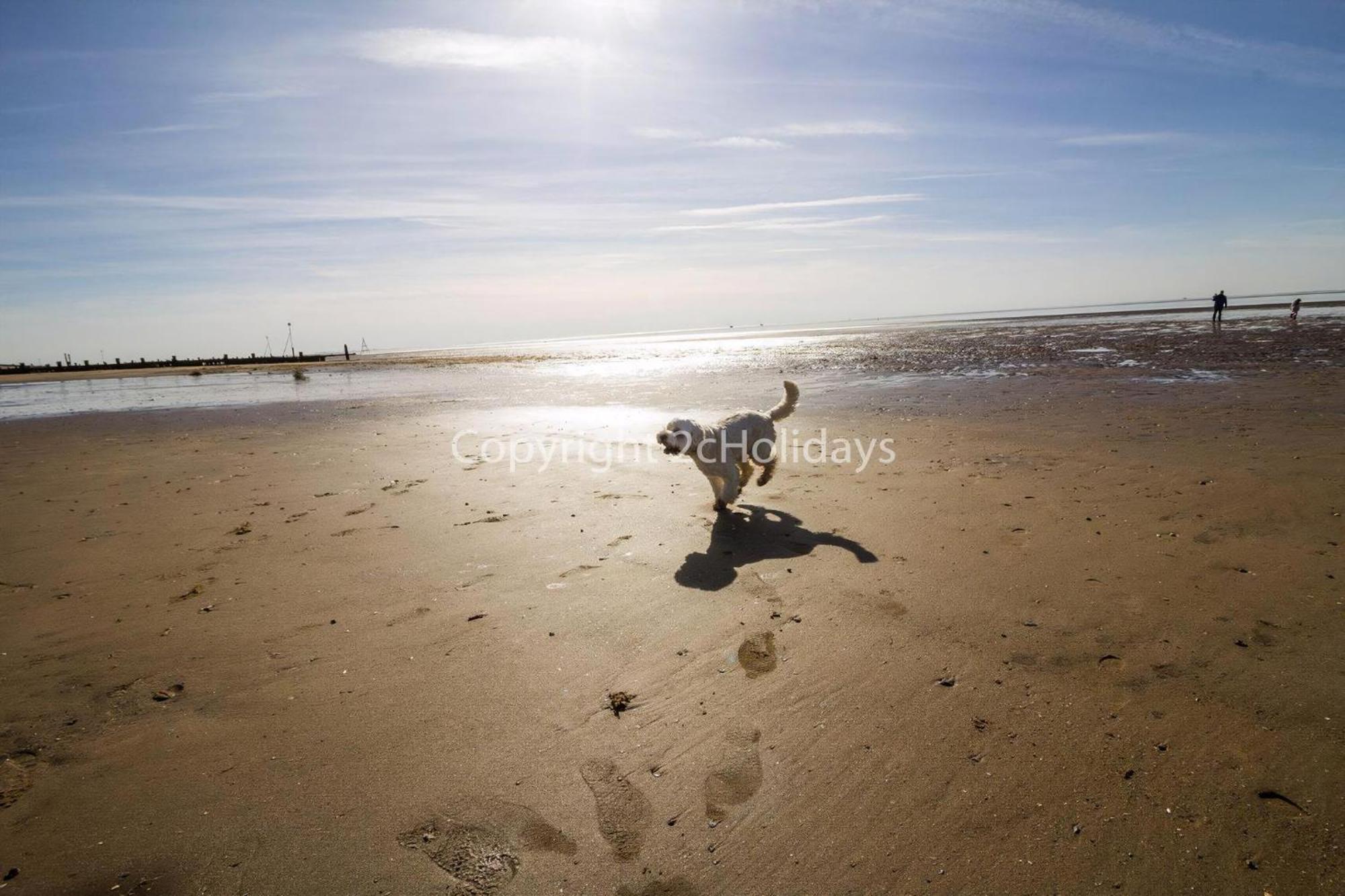 6 Berth Caravan By The Beach In Hunstanton In Norfolk, Pets Welcome Ref 13009L エクステリア 写真
